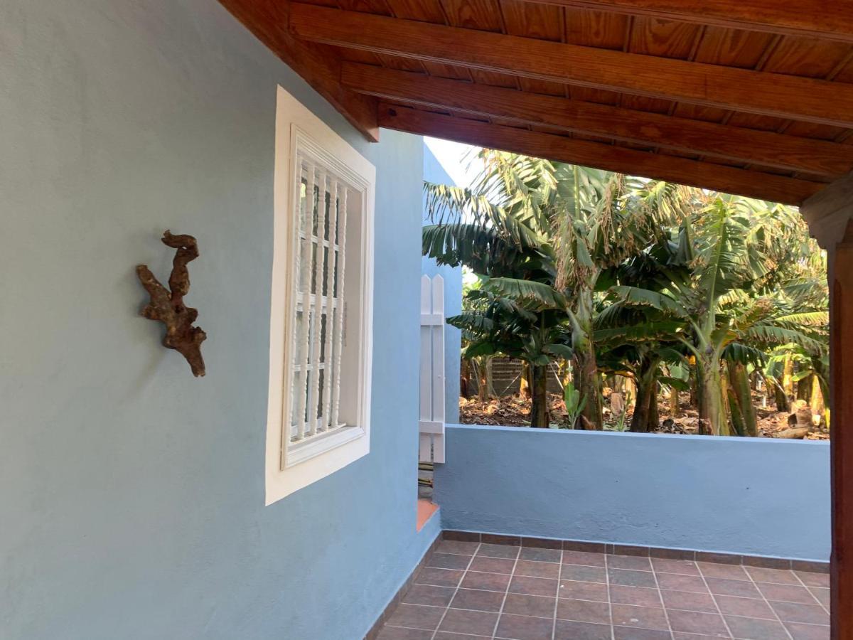 Rooftop Casa El Banco El Charco  المظهر الخارجي الصورة